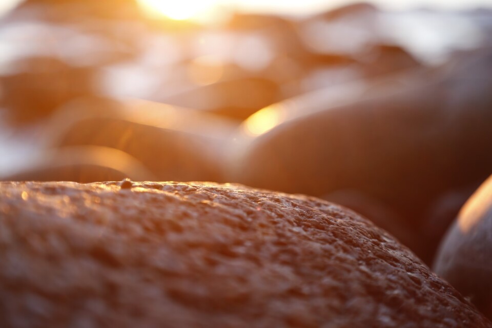 Beach stones and rocks closeup, sunset and sunrise