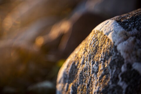 Stony beach stones and rocks sunlit in the evening closeup, texture sunset and sunrise